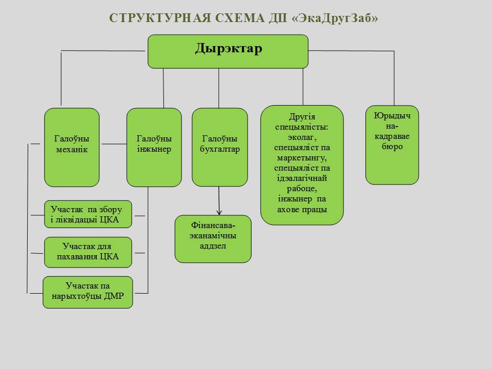 структура бел.jpg